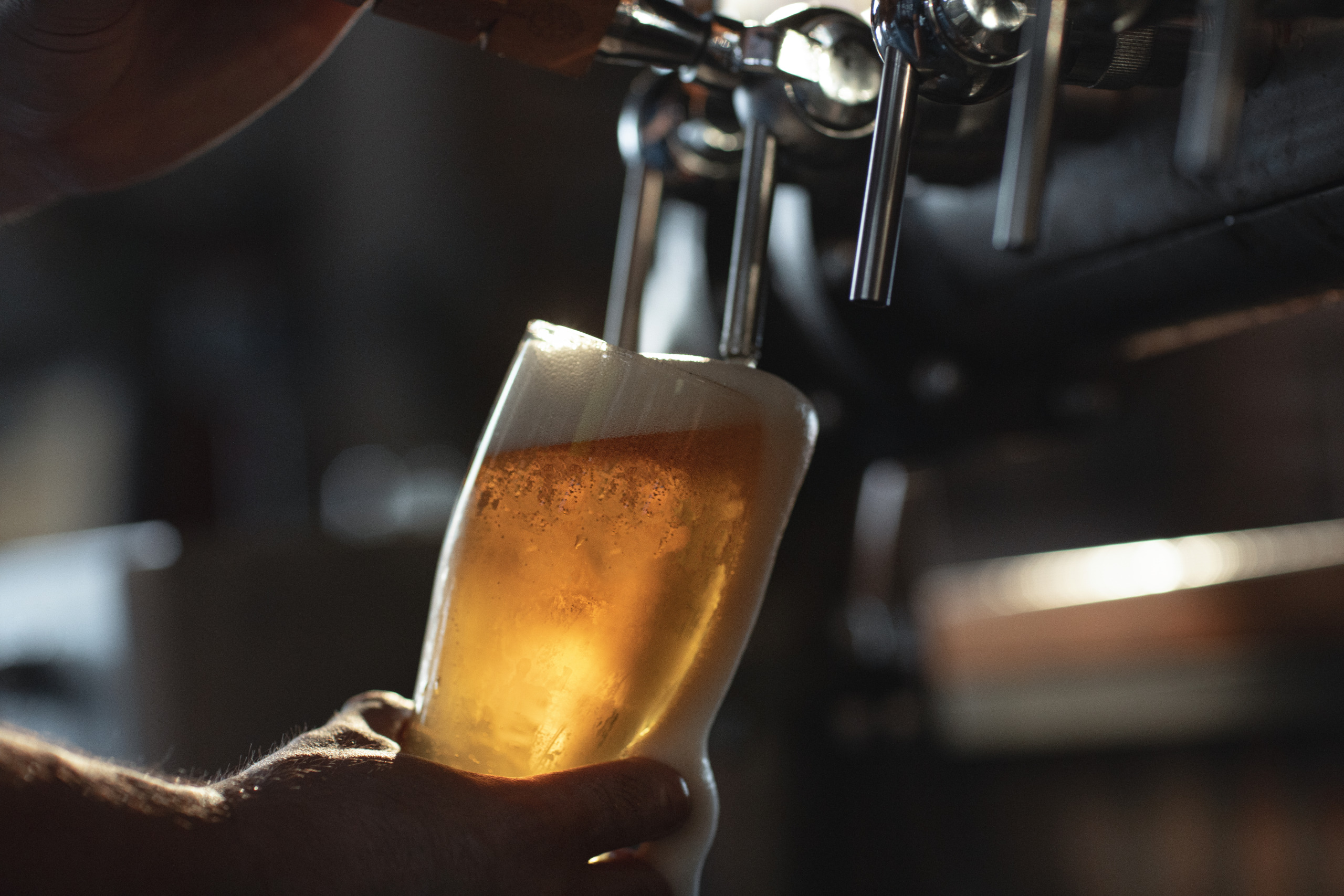 A person pouring a glass of beer from the tap.