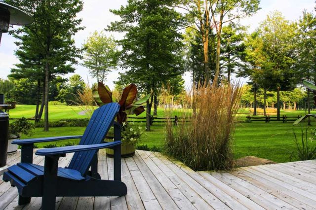 Chair in a backyard