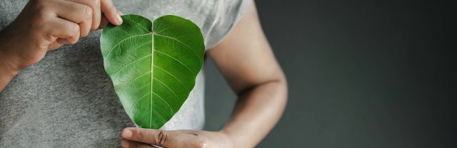 Une personne tenant une feuille